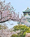 大数据预测果树产量：科技能否终结“大小年”魔咒？