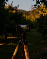 社交媒体营销如何带火小众采摘果园