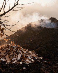 修剪下来的枝条别浪费：堆肥与再利用的环保方案