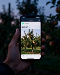 修剪决策支持系统：手机APP