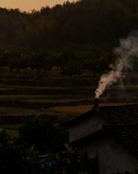 乡村振兴背景下观光采摘果园的可持续发展路径