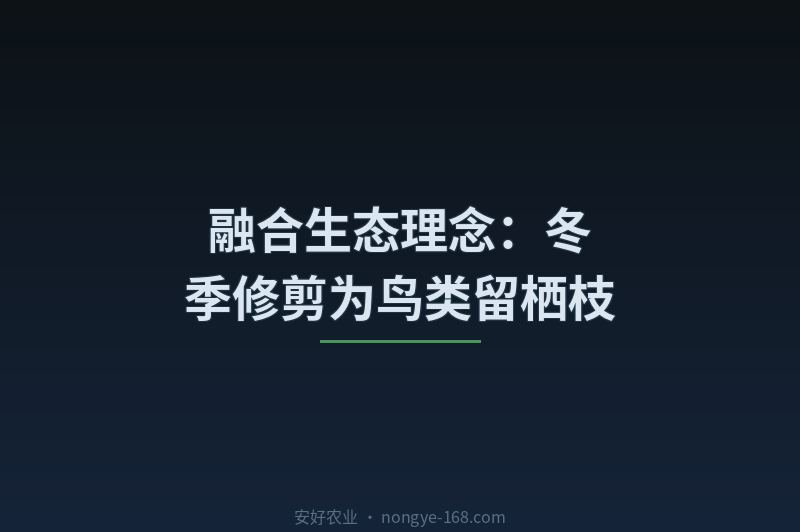 融合生态理念：冬季修剪为鸟类留栖枝