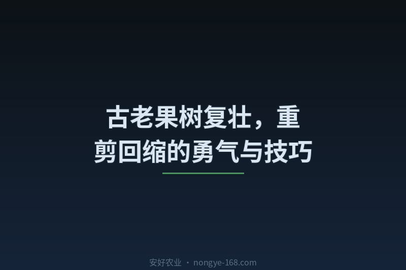 古老果树复壮，重剪回缩的勇气与技巧