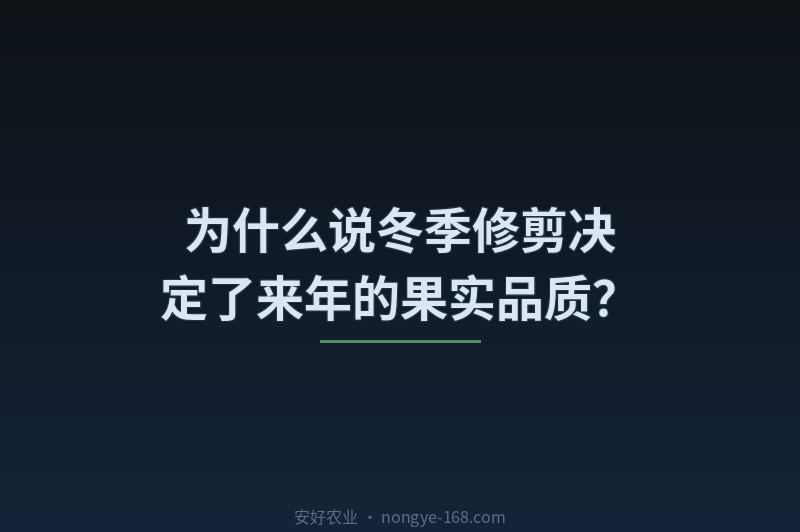 为什么说冬季修剪决定了来年的果实品质？
