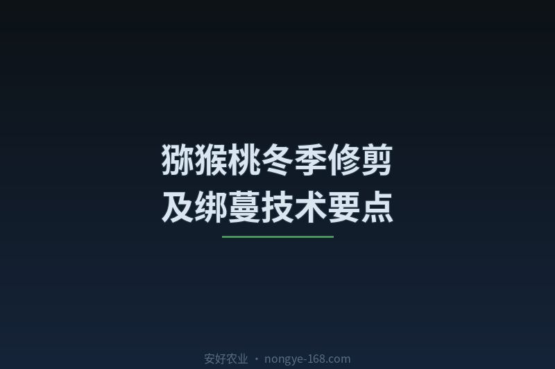 猕猴桃冬季修剪及绑蔓技术要点